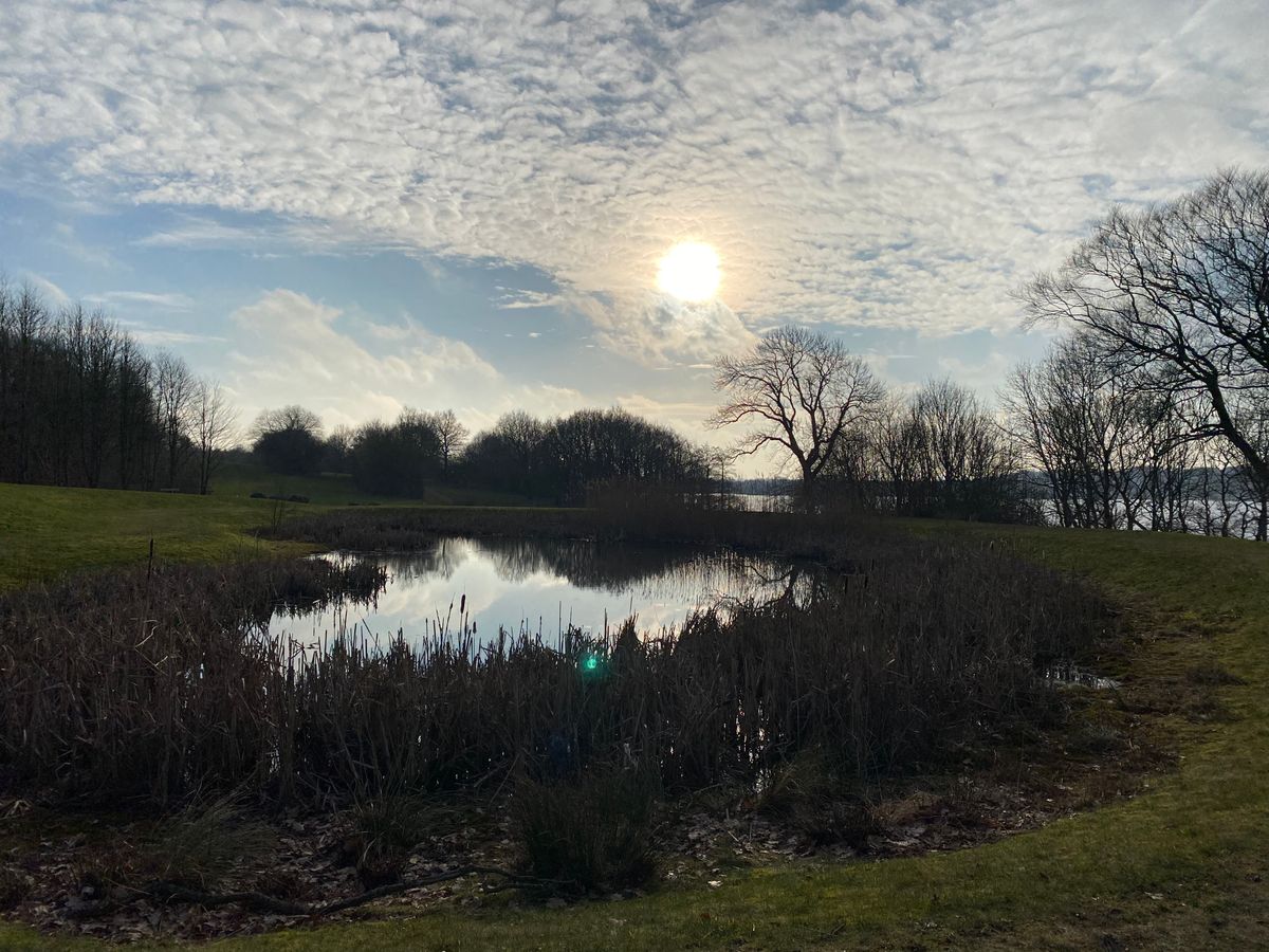 Hole 15