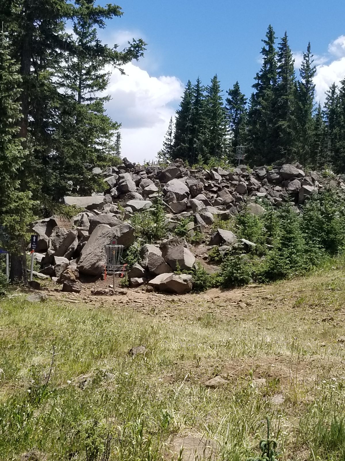 Hole 5 basket below, 14 basket above