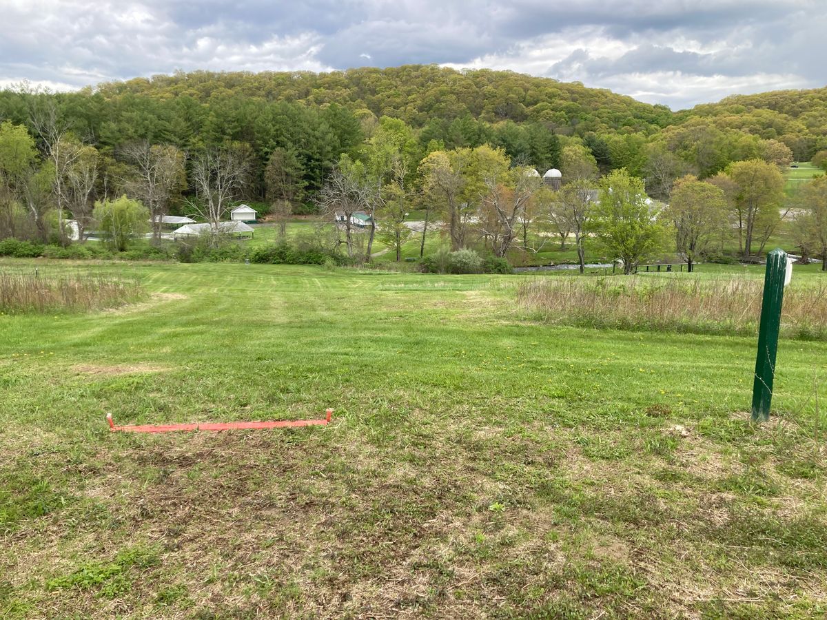 Red Tee Pad #7 lookin towards the basket
