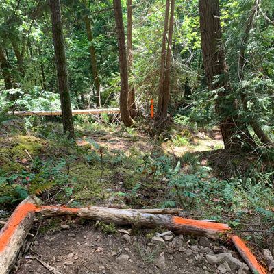Hole 10 front