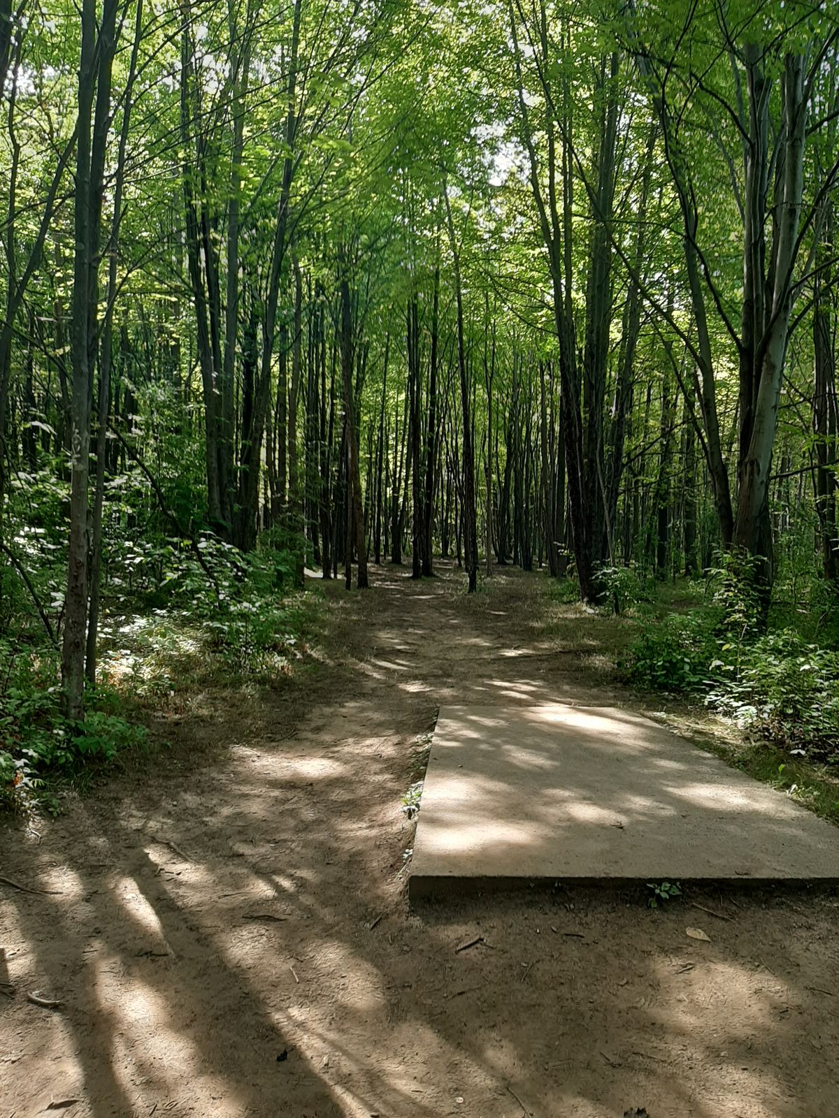 Hole 2 has very limited lines.