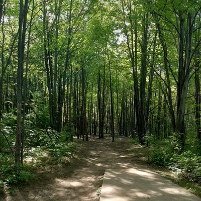 Hole 2 has very limited lines.