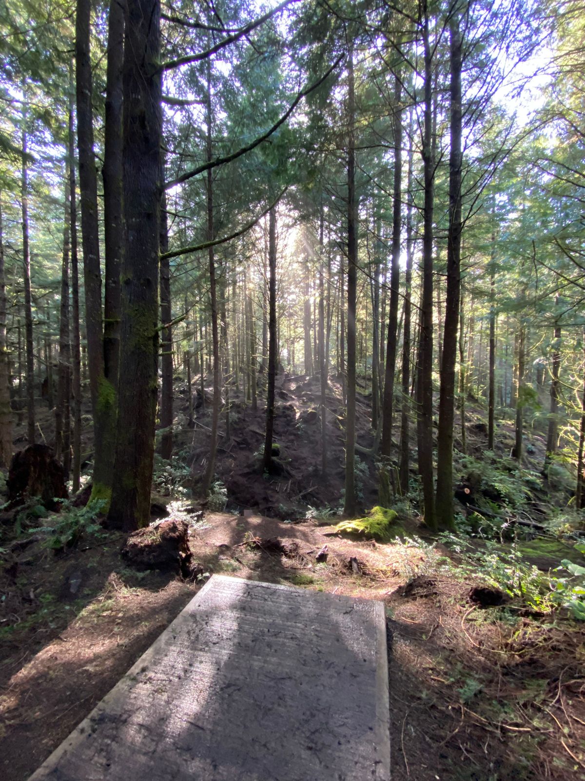 Hole 14