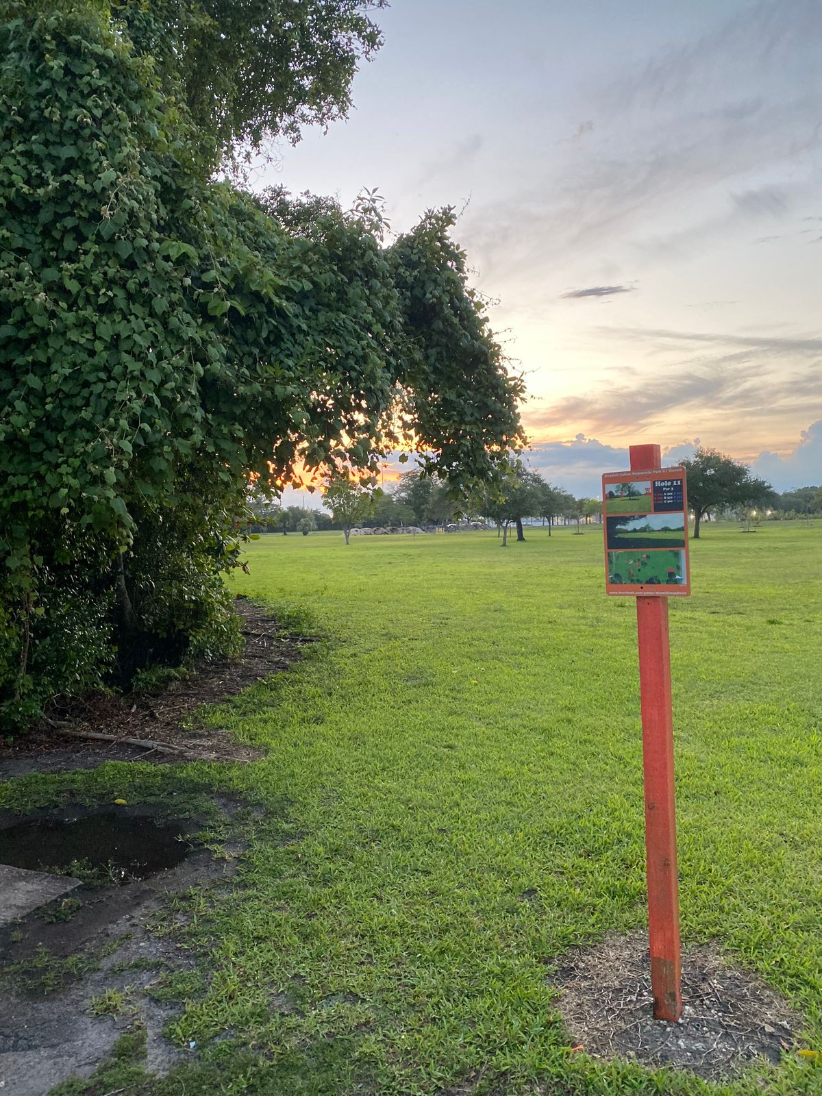 Hole 11 tee pad