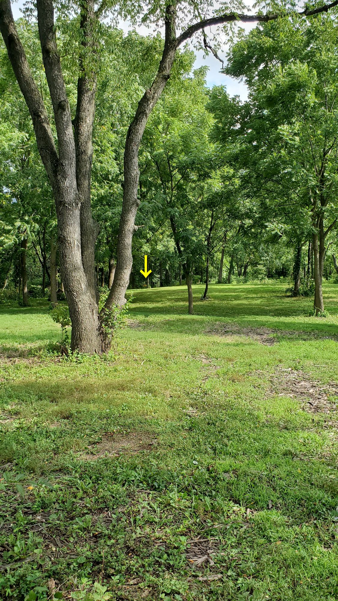 Hole 5's fairway.