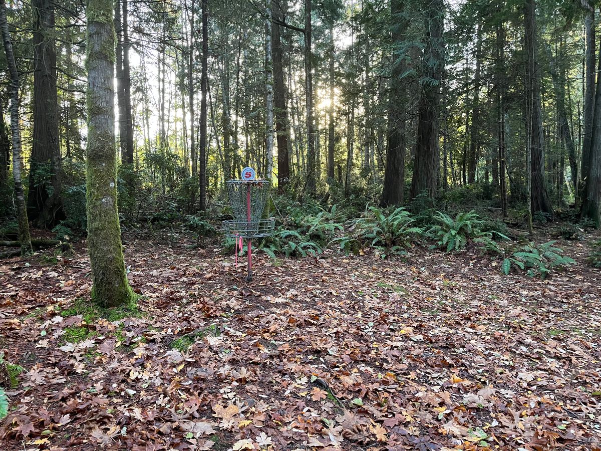 Green of Hole 5