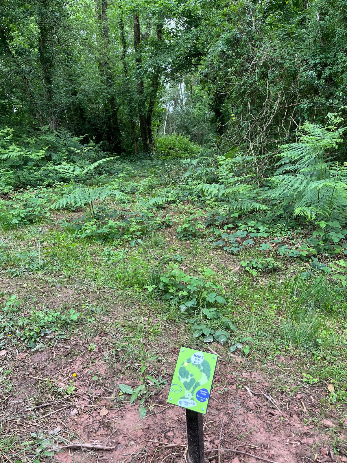 Hole 3 white tee