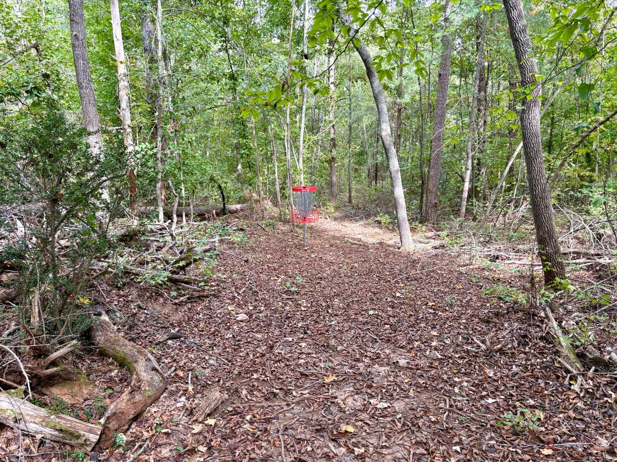 Hole 8 approach