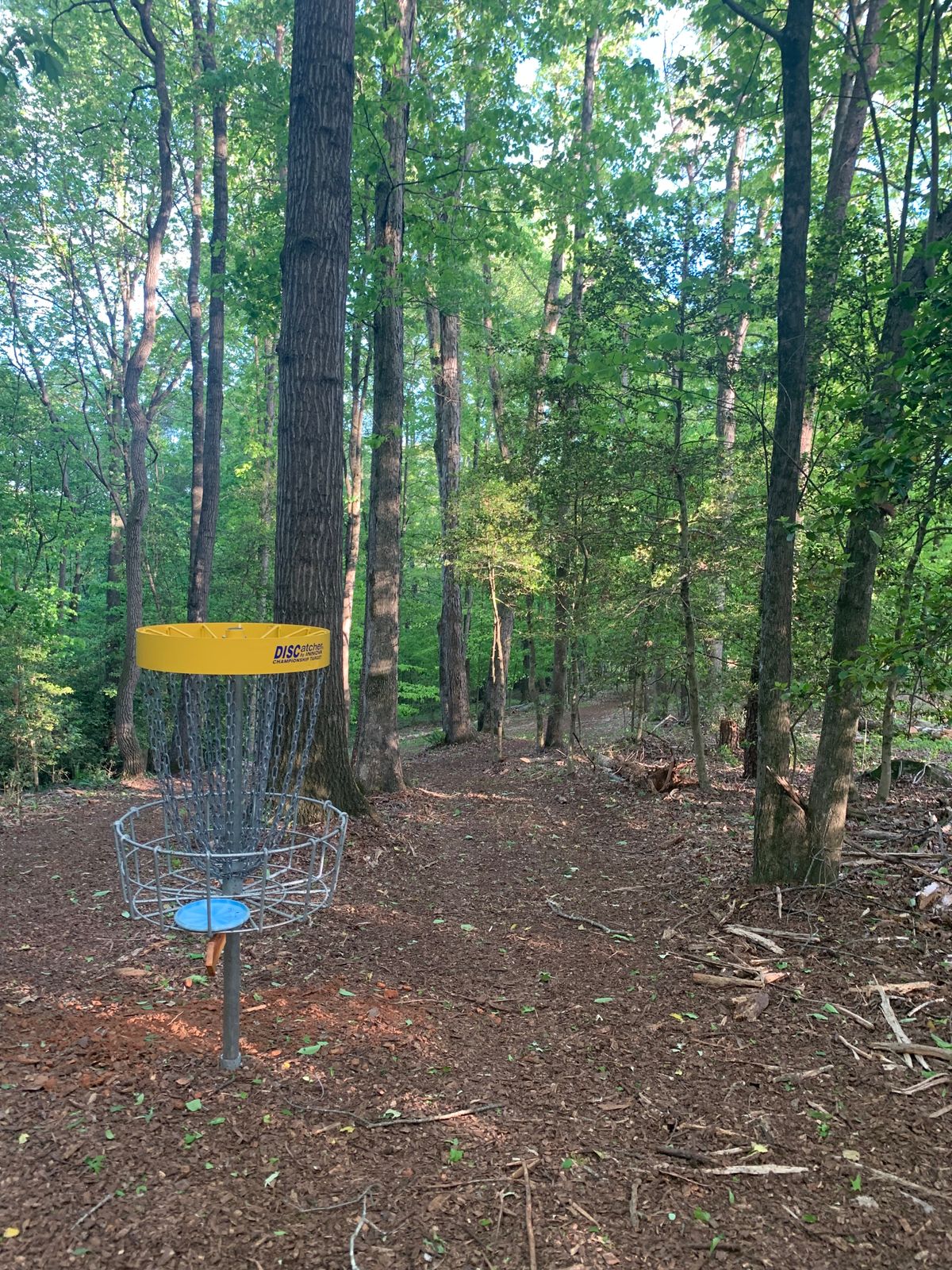 Basket Hole #3