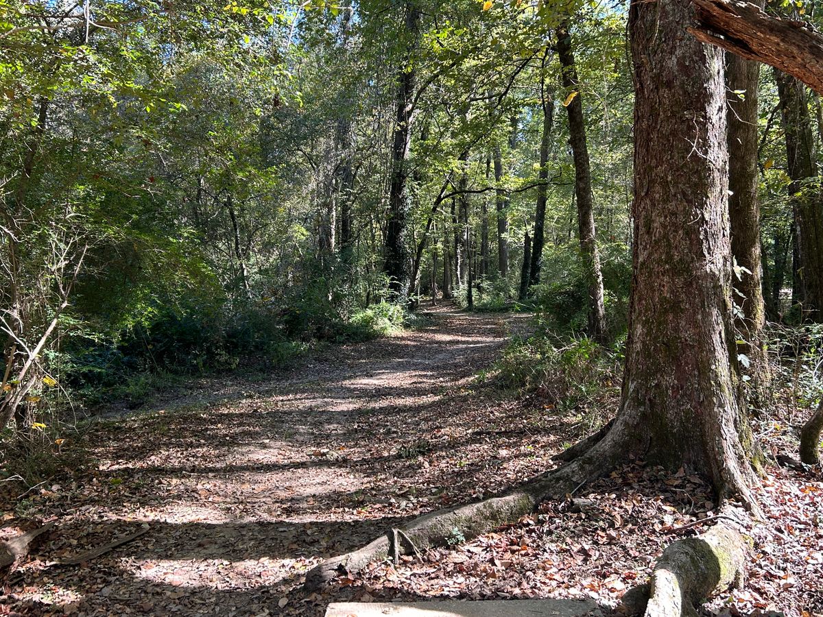 Hole 7 Fairway