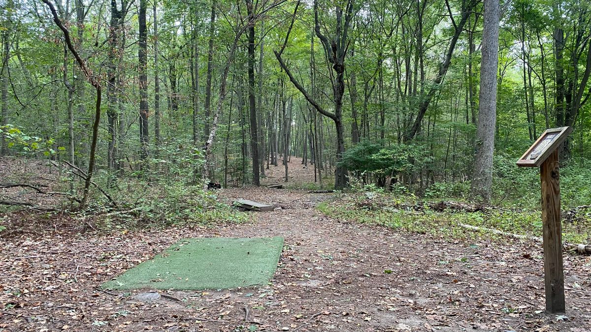 Tee pad 6