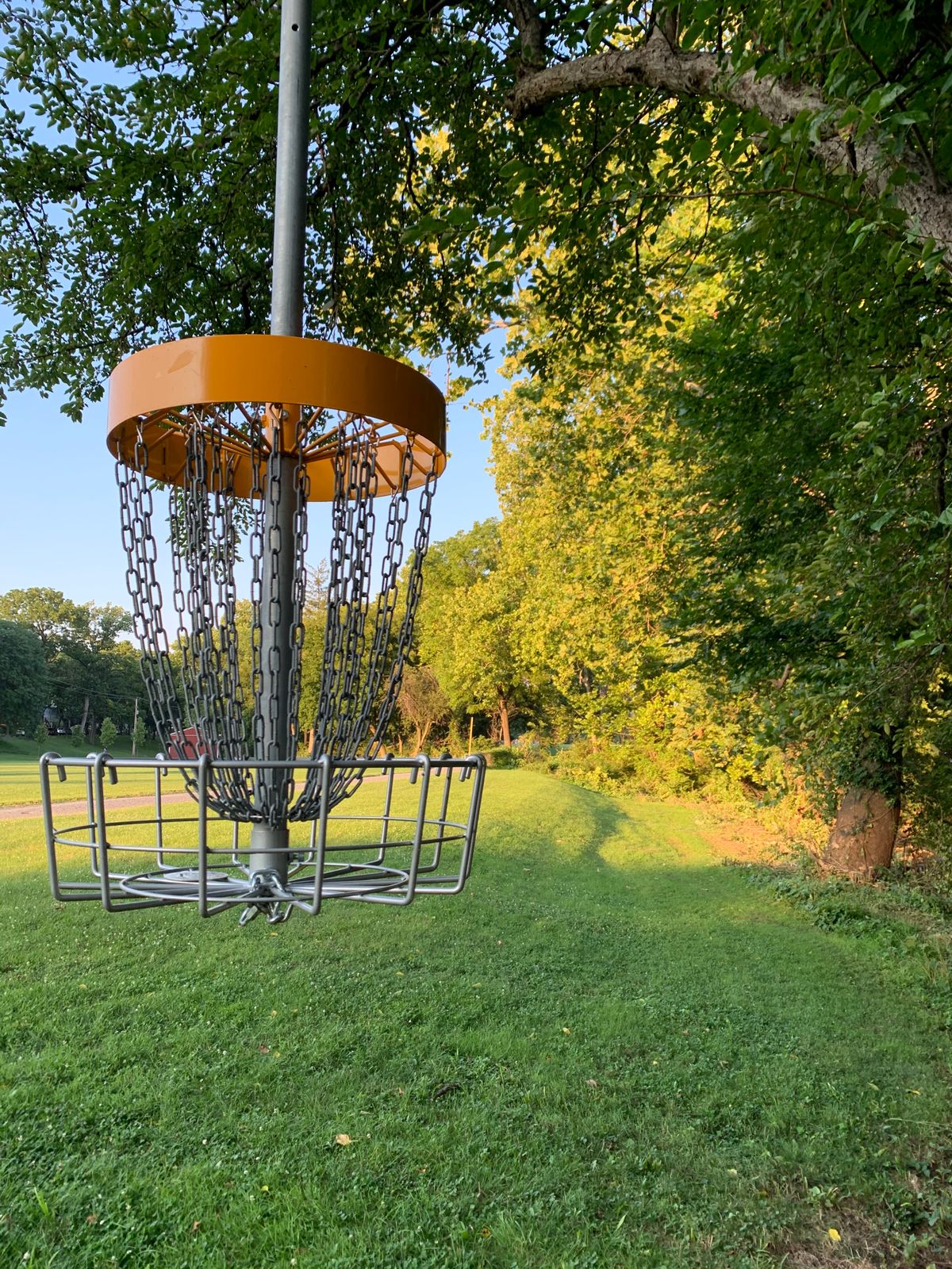 taken behind the hanging basket for am tees, hole 9