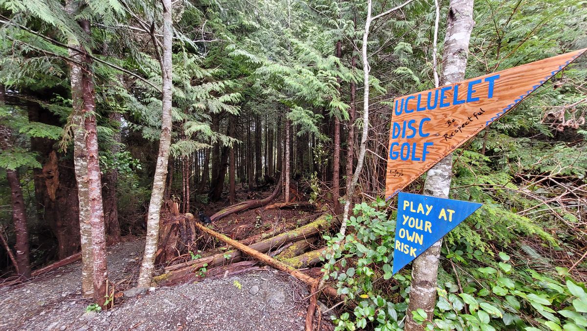 Hole 1 has a wider corridor with a nice easy left.

You're still gonna hit a tree, though.