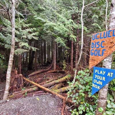 Hole 1 has a wider corridor with a nice easy left.

You're still gonna hit a tree, though.