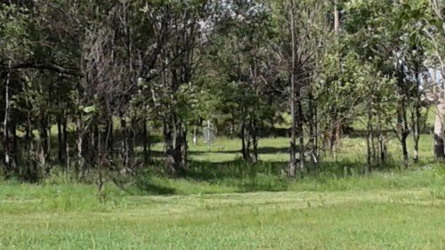 Hole 5 basket