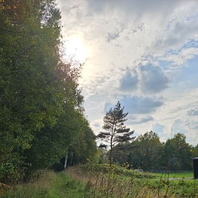 Hull 6, rett ut av skogen fra hull 5