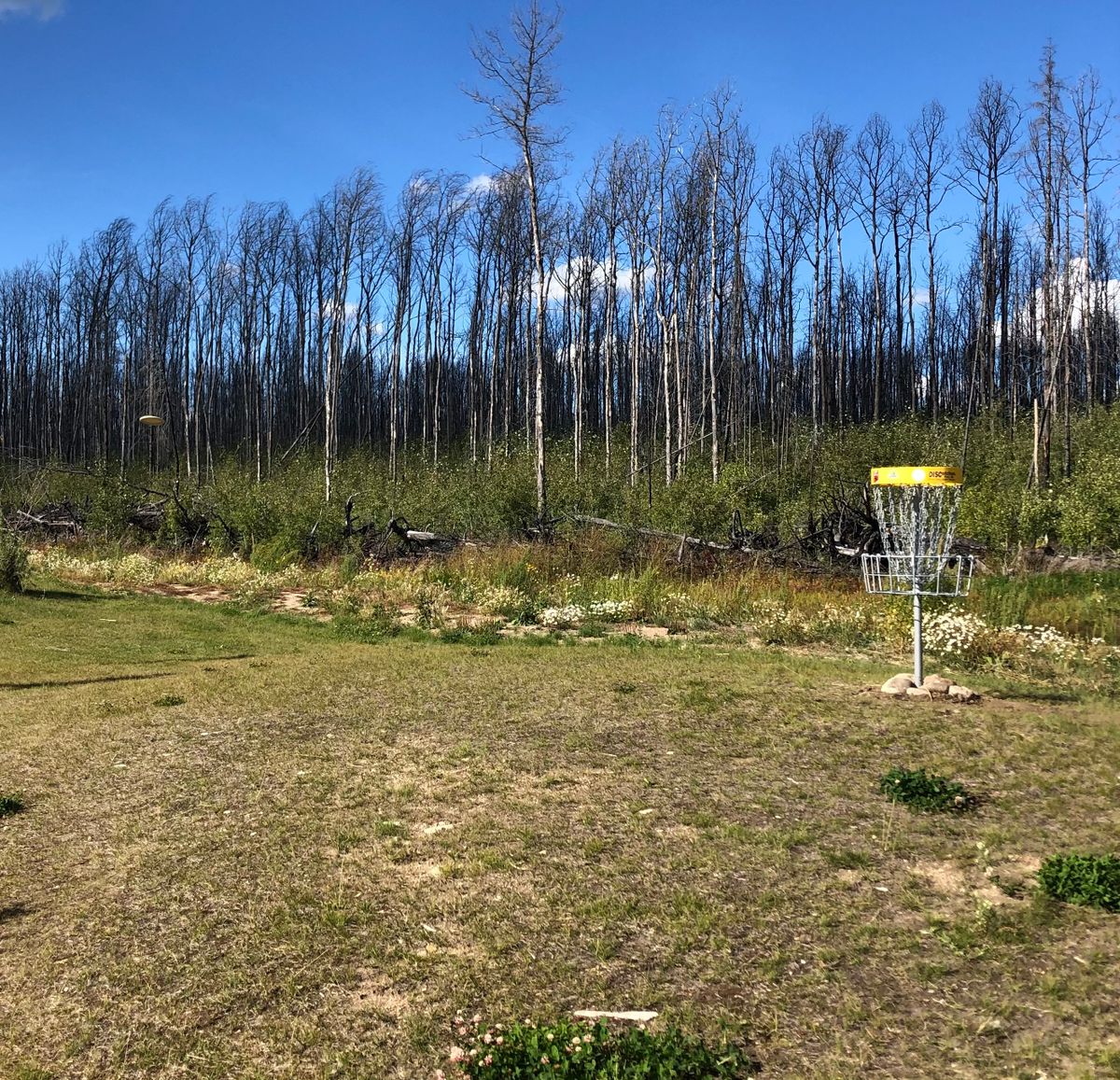 Hole 13