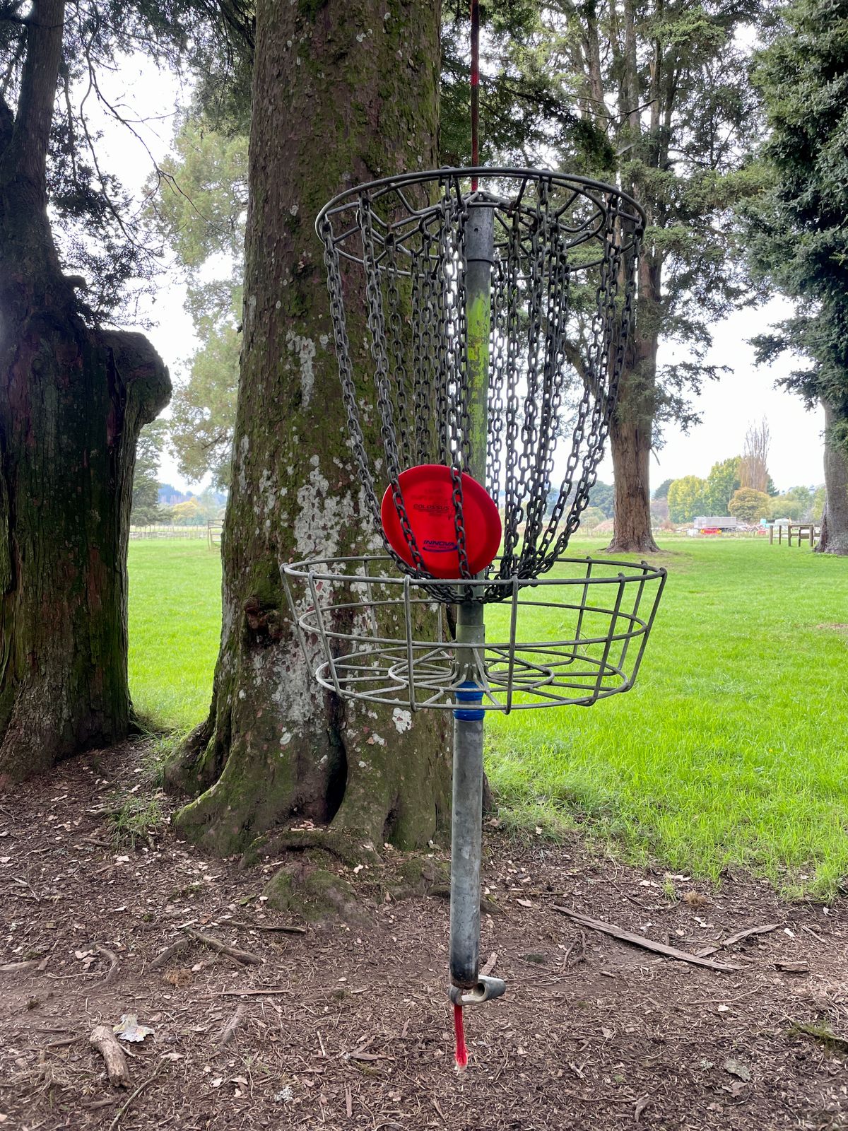 Hanging basket hole 8