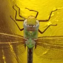 User avatar image