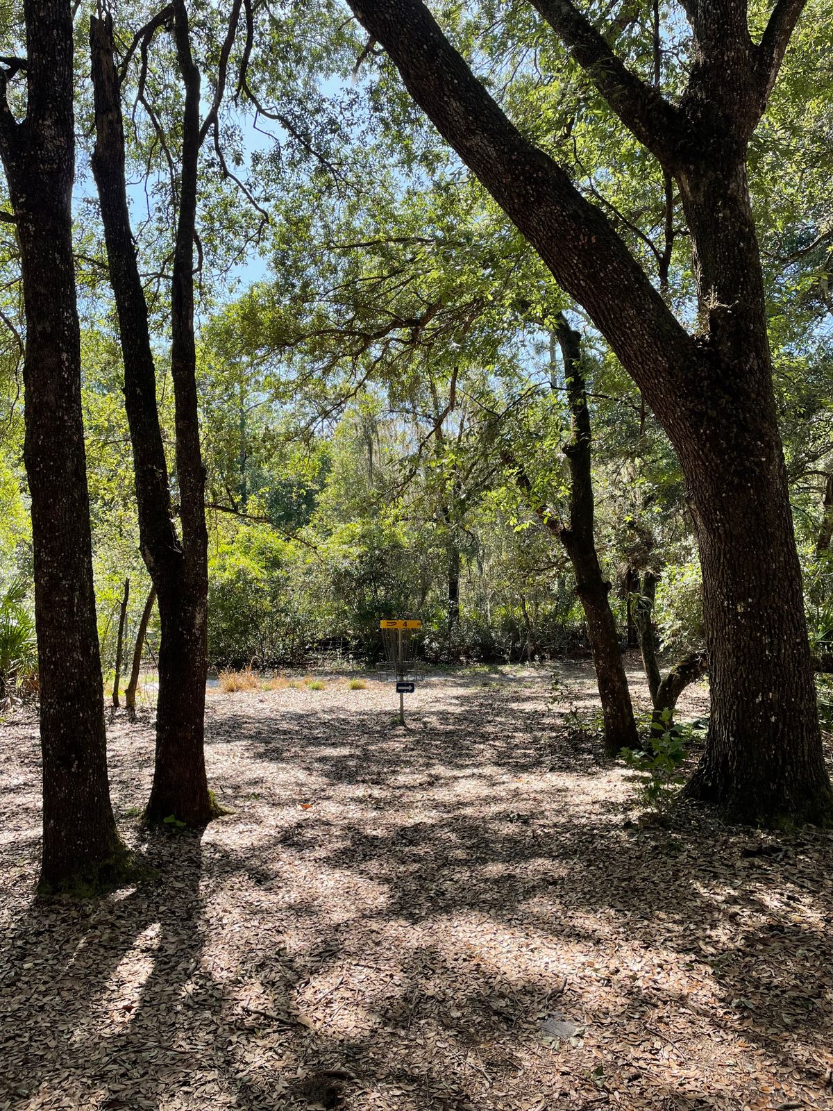 Hole 4