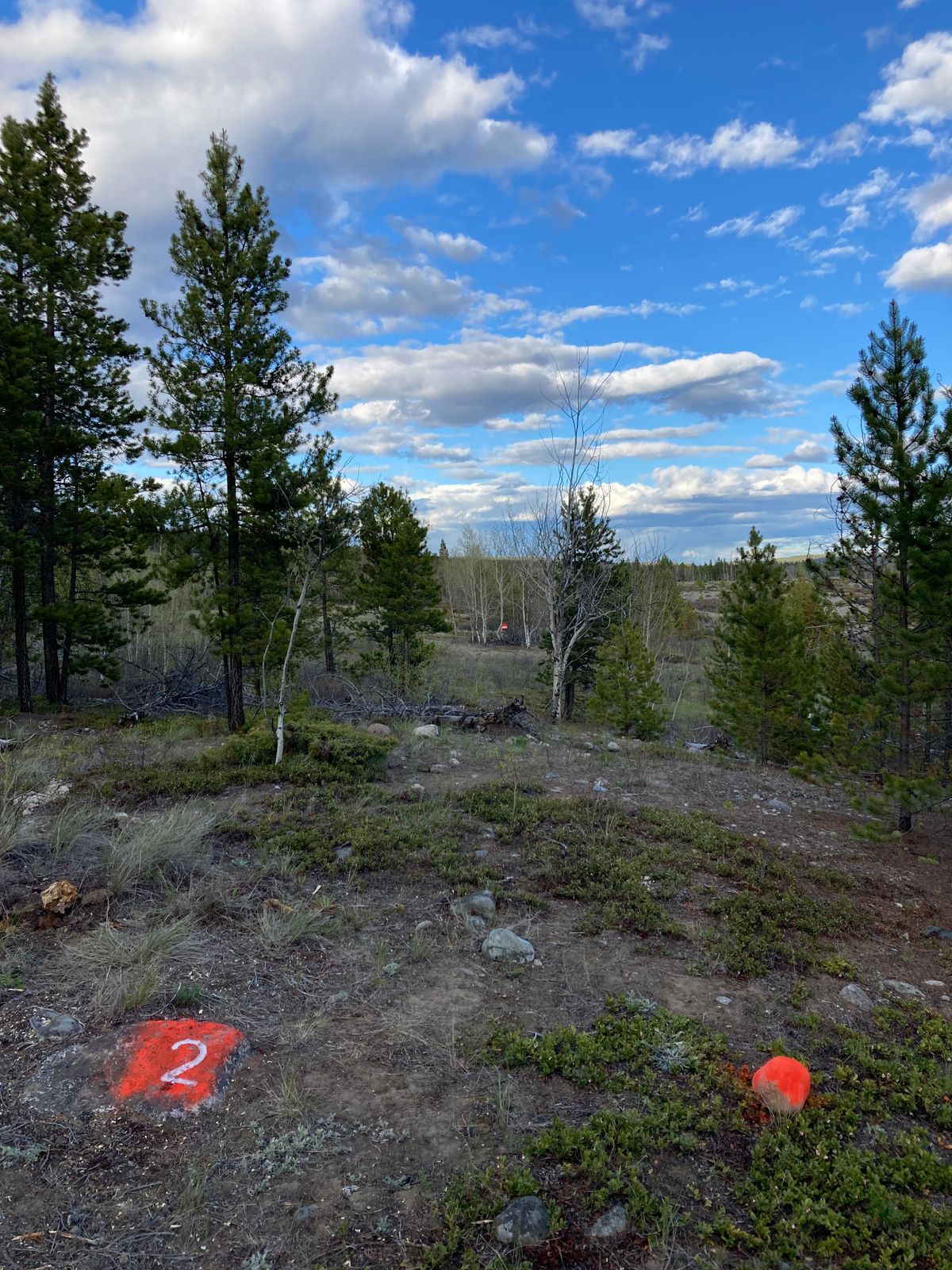Looking at the target from hole 2 tee box