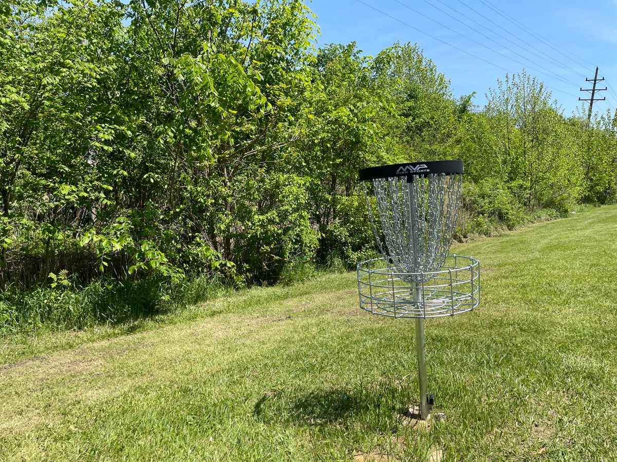 Hole 4 Basket