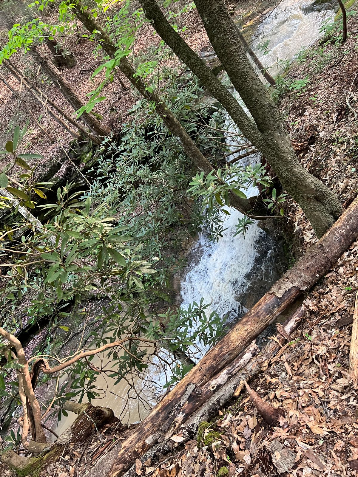Great waterfall on hole 4