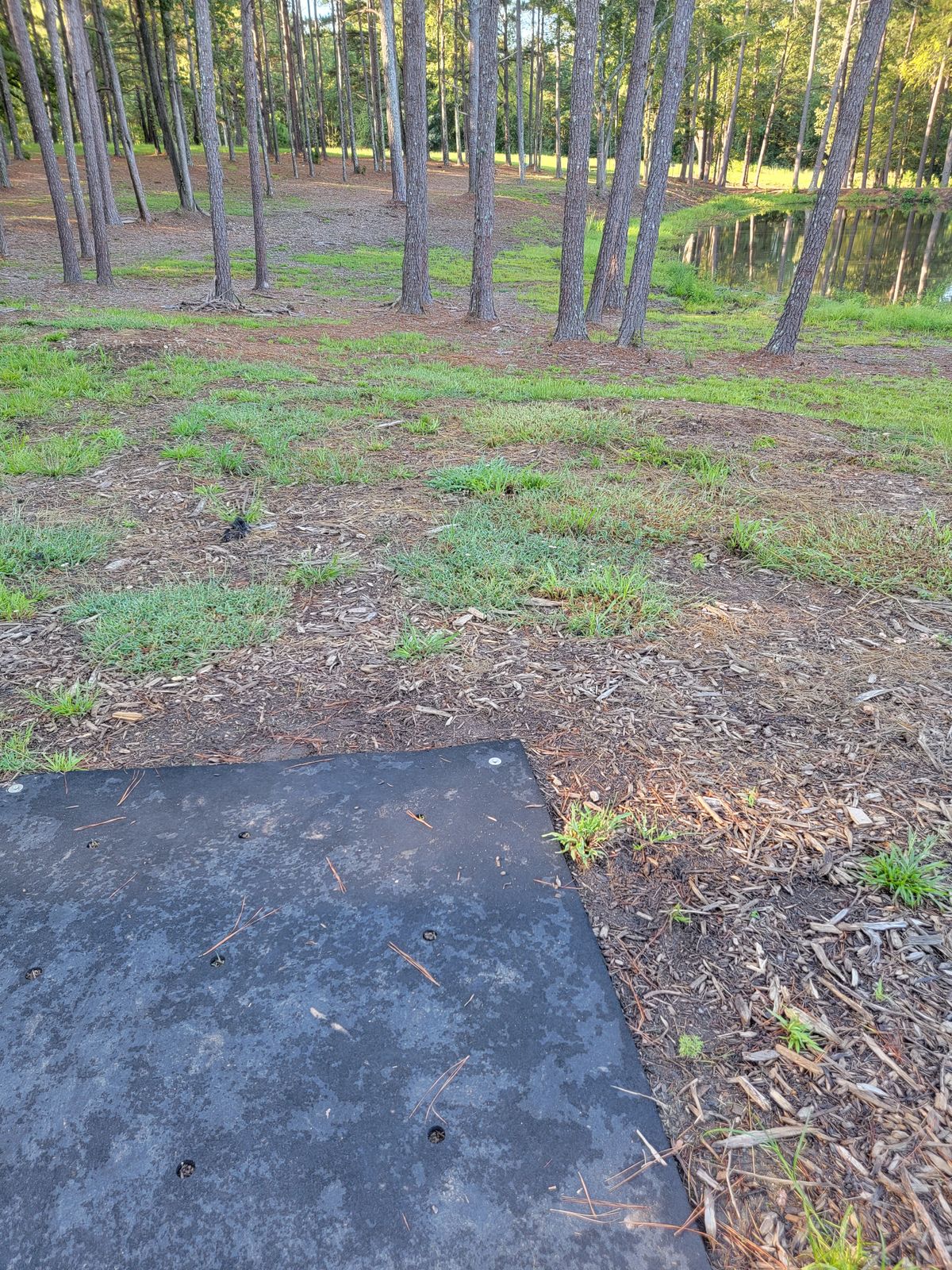 hole 8...off to the right