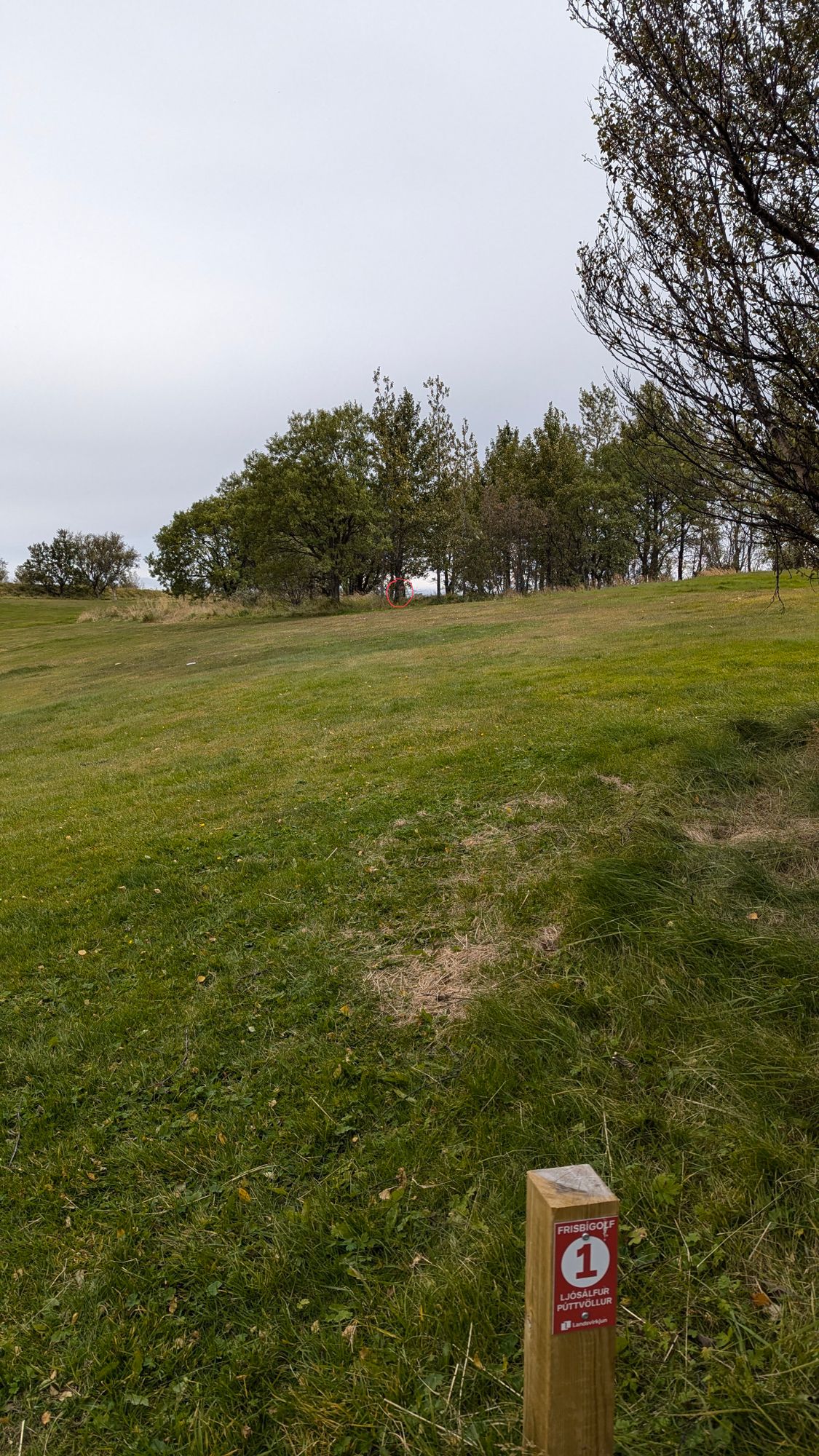 9-hole course, hole #1