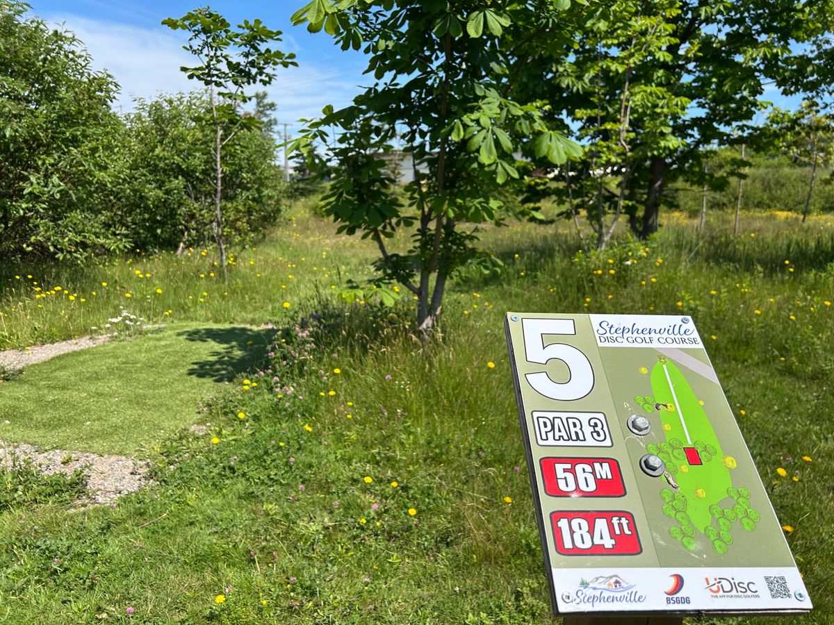 Hole 5 - short