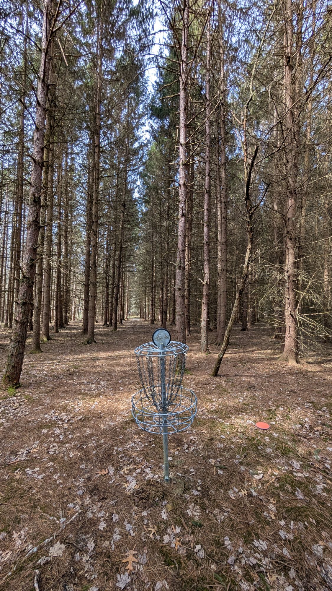 Hole 14 basket view