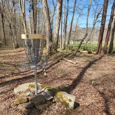 Hole 18 basket towards tee