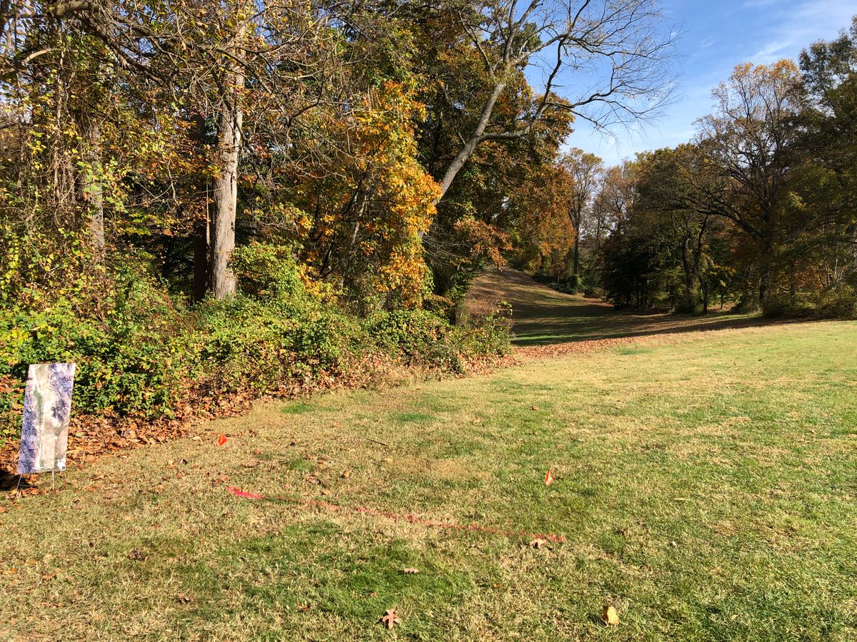 #12 tee (basket back in trees on right)
