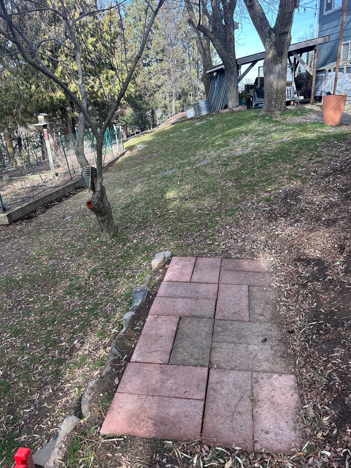 Hole #1. Mando to left of tree (see green arrow at base of tree).170’.