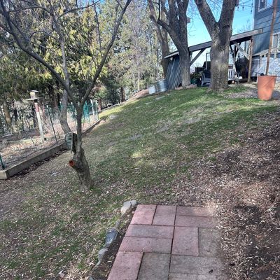 Hole #1. Mando to left of tree (see green arrow at base of tree).170’.