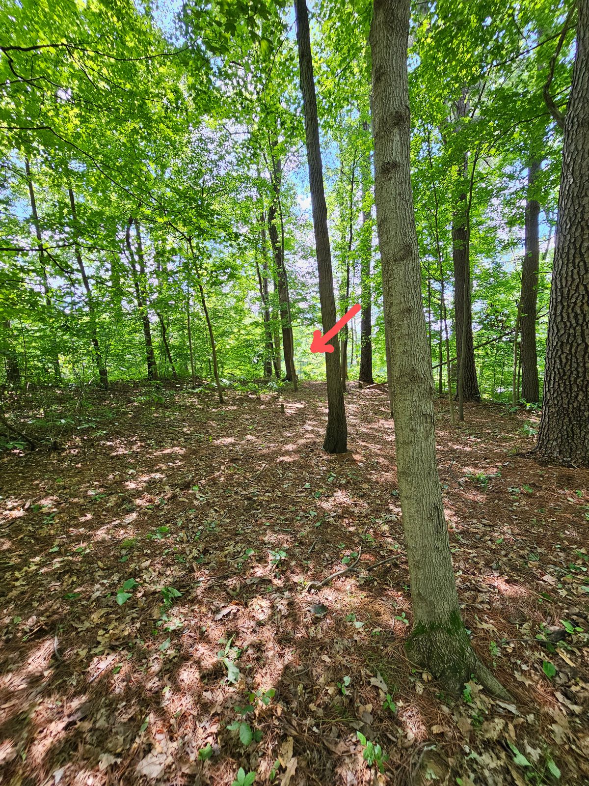 Hole 4