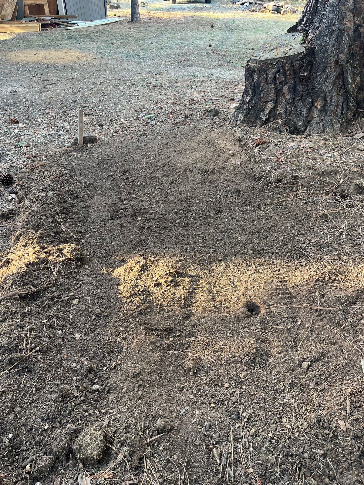Tee 3