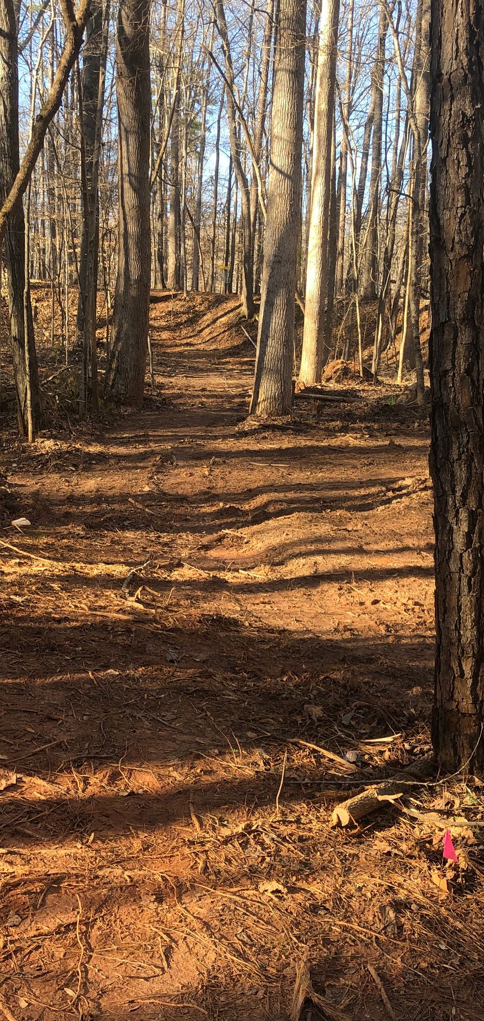 Hole 6 tee