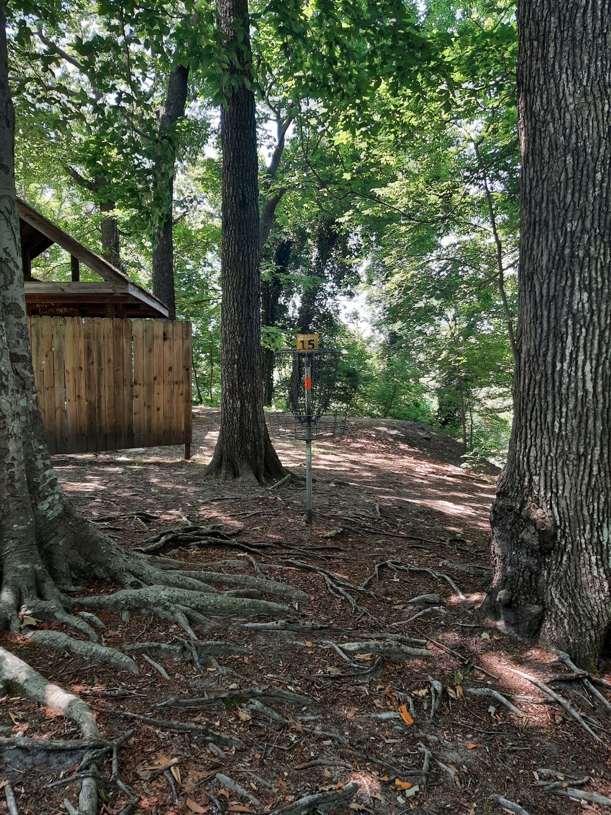 Hole 15 Basket