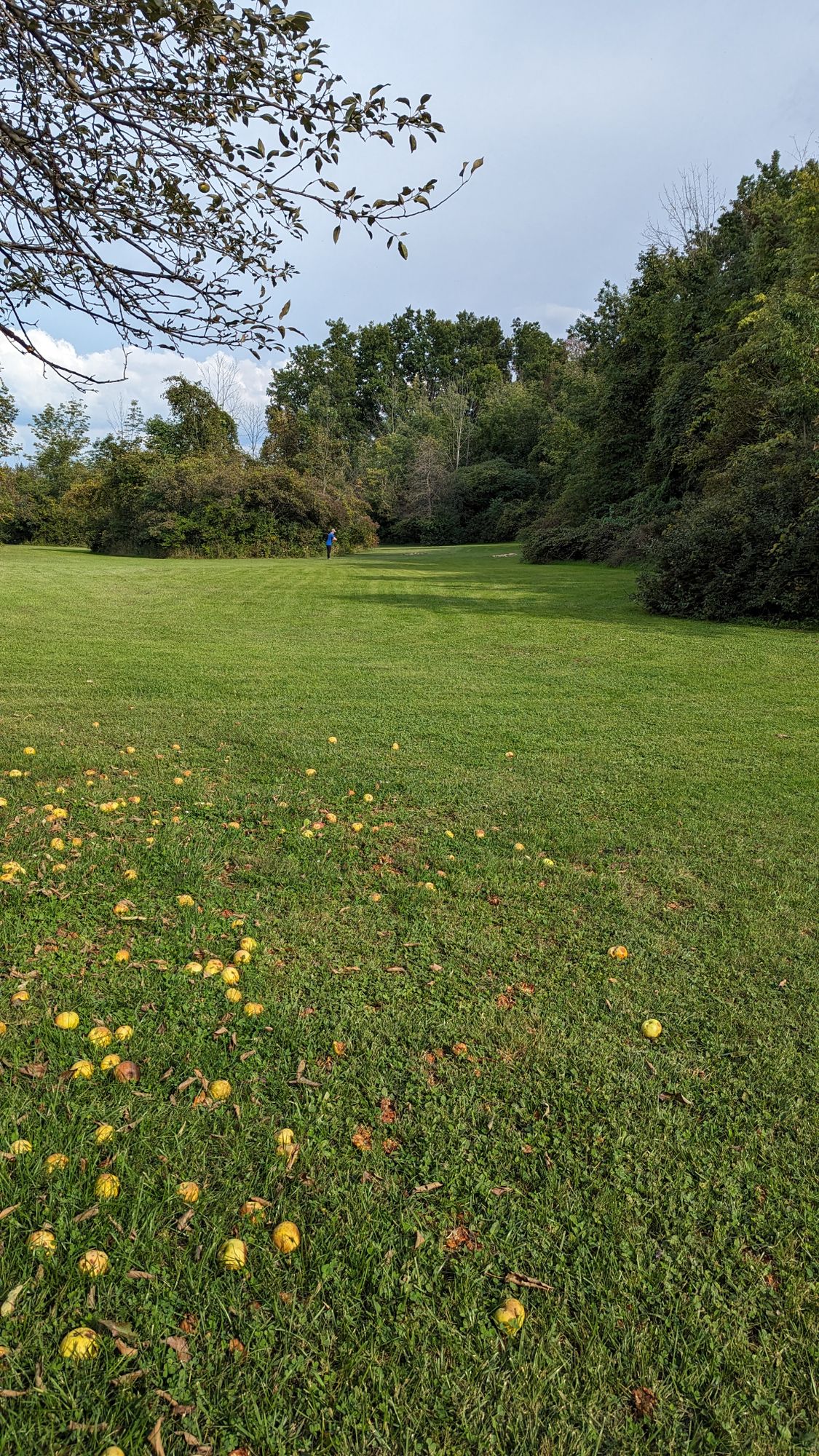 Fairway to tee box on 18.