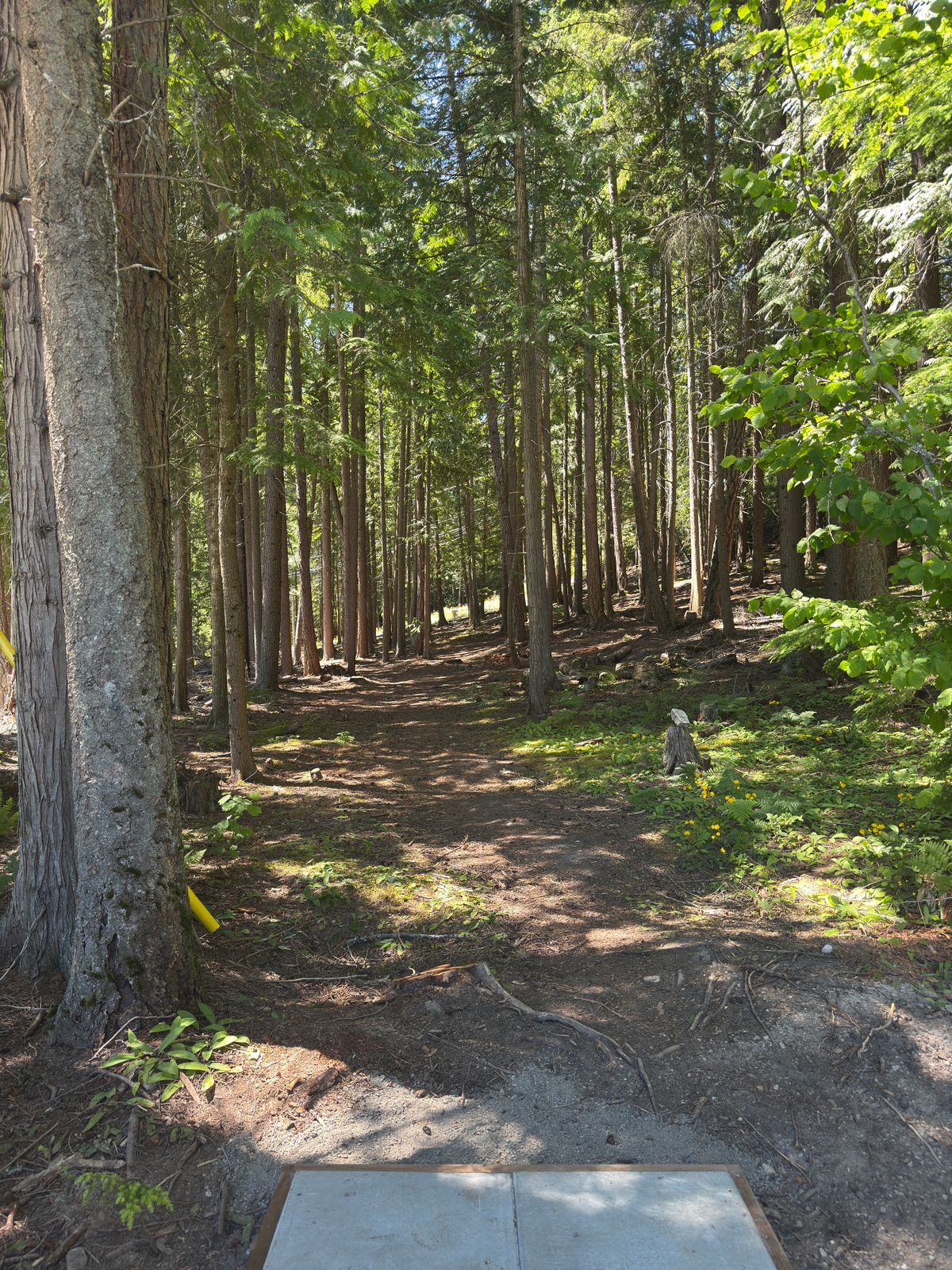 Hole 1