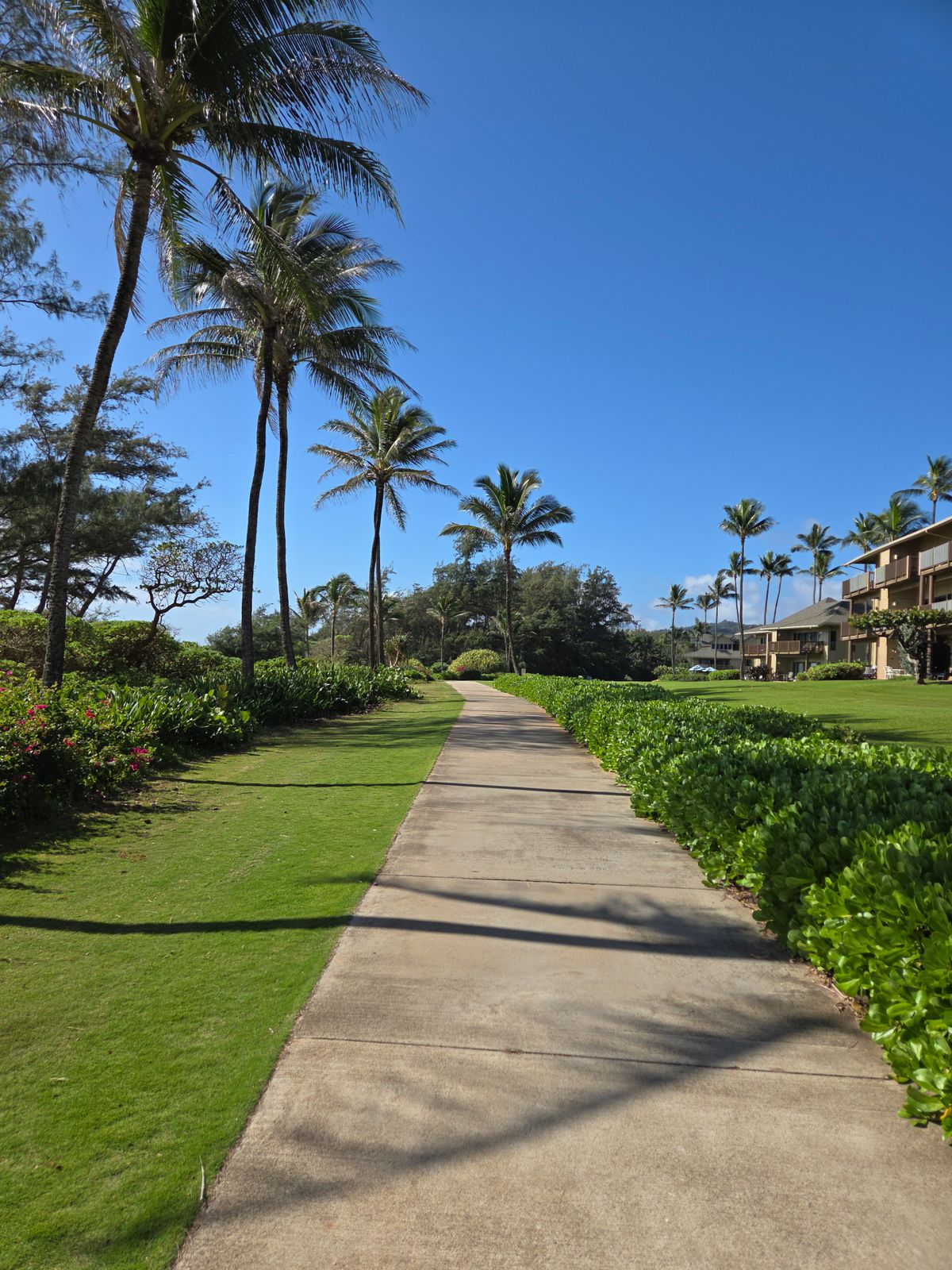 The view to back 9