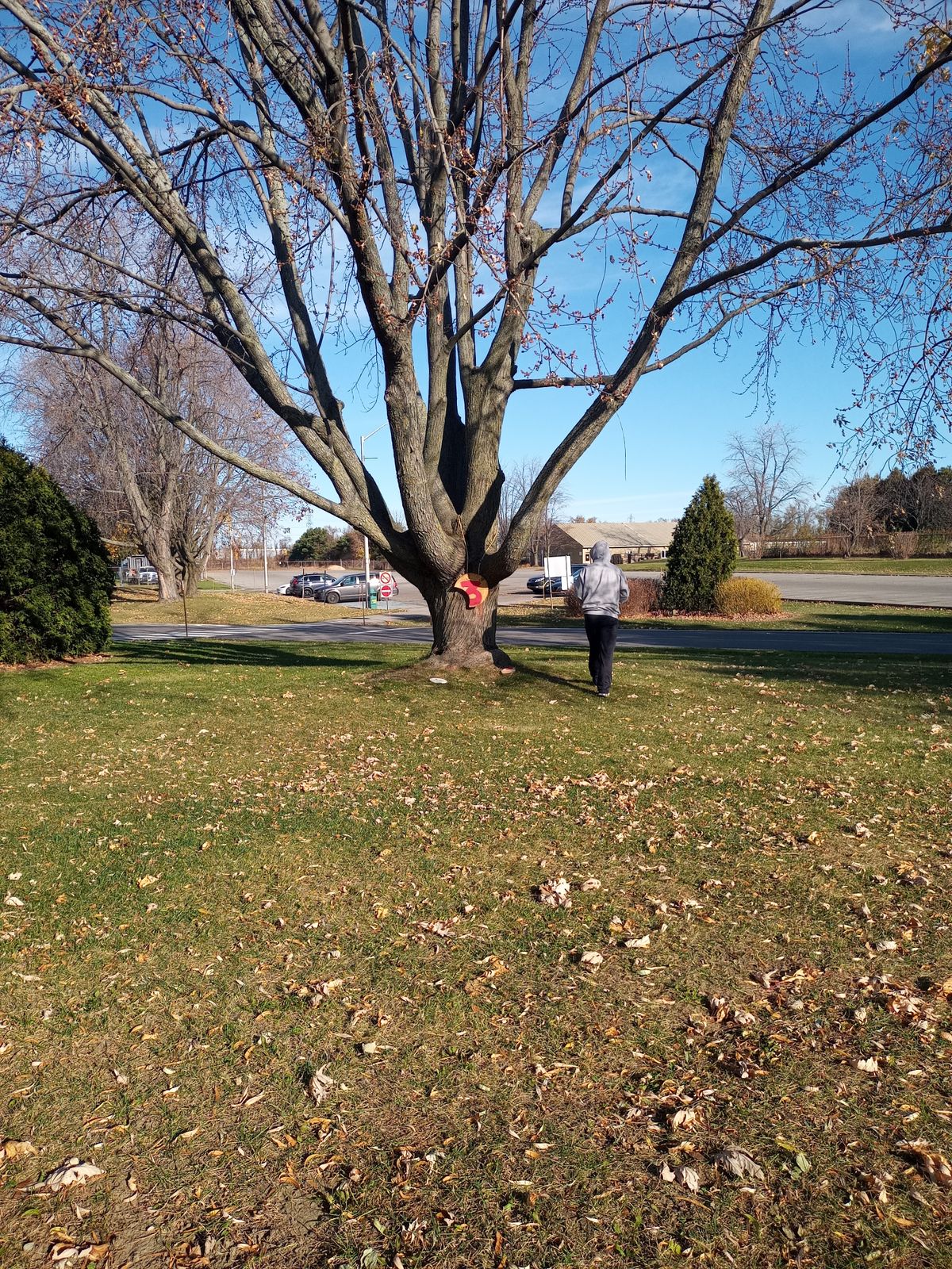 Hole 3 target