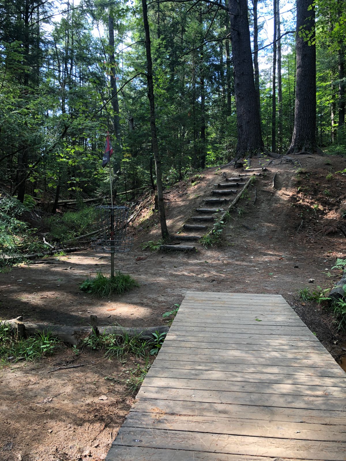 Hole 4. Reverse shot from the basket.
