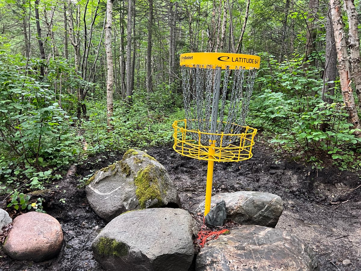 Hole 7 Basket