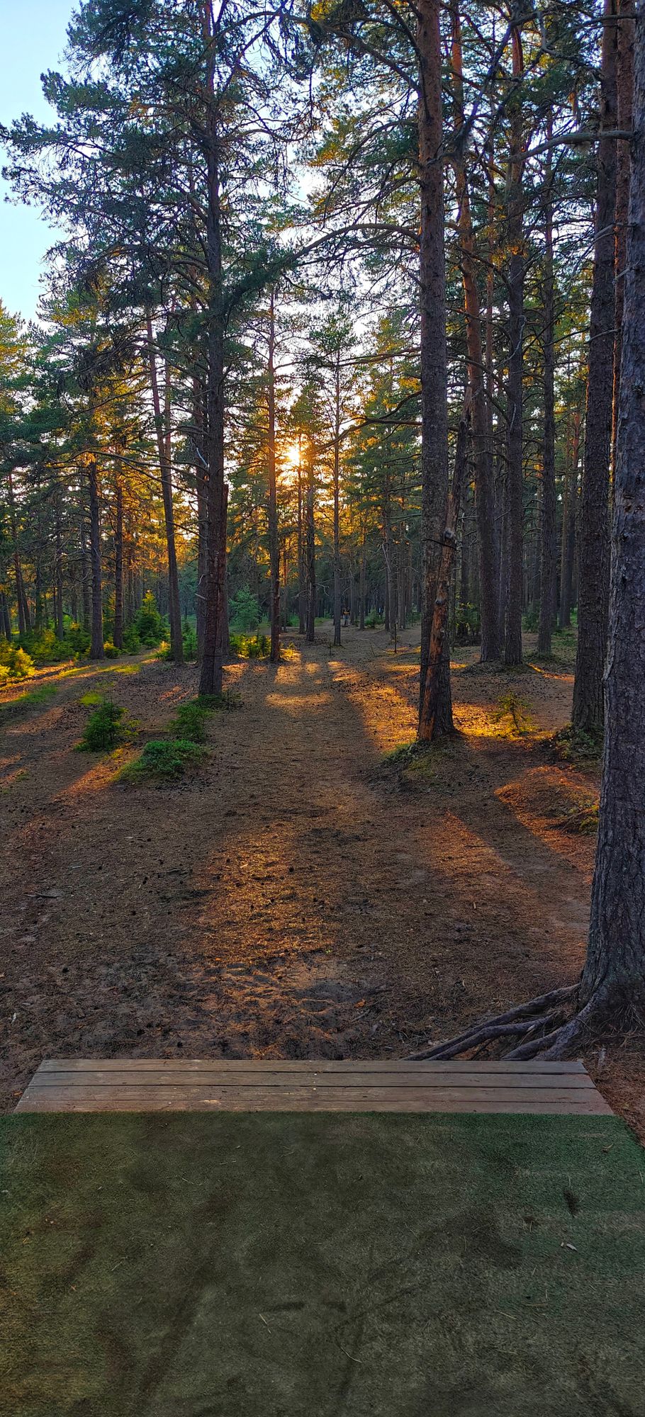 Hole 9