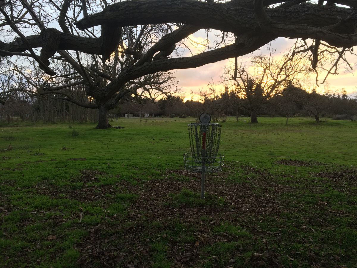 Hole 3 looking back at tee