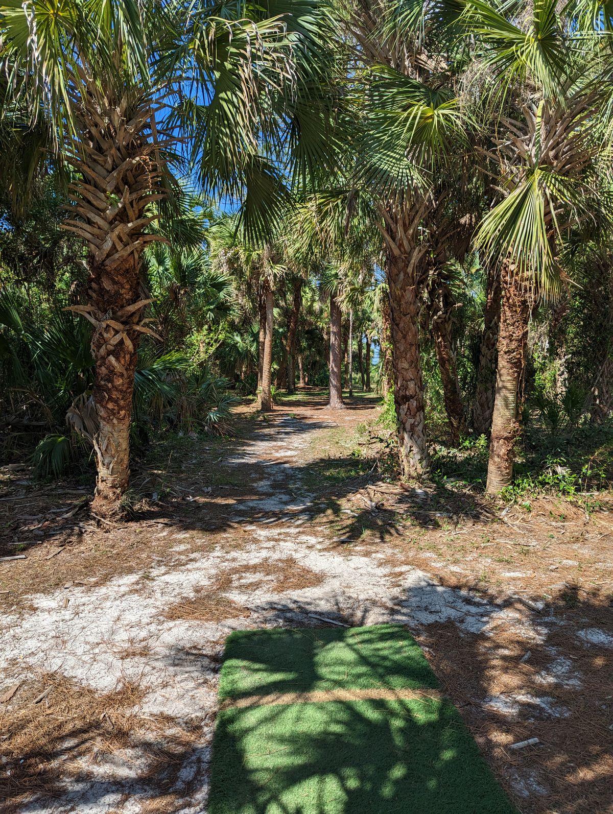 Hole 16 Tee