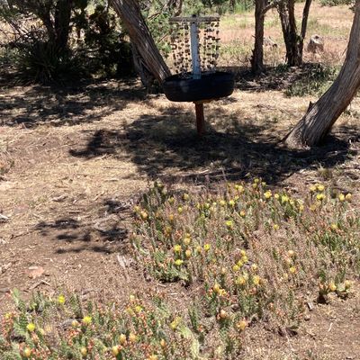 Watch out for the prickly pears on hole 3!  This holes name is Cactus Patch for a reason