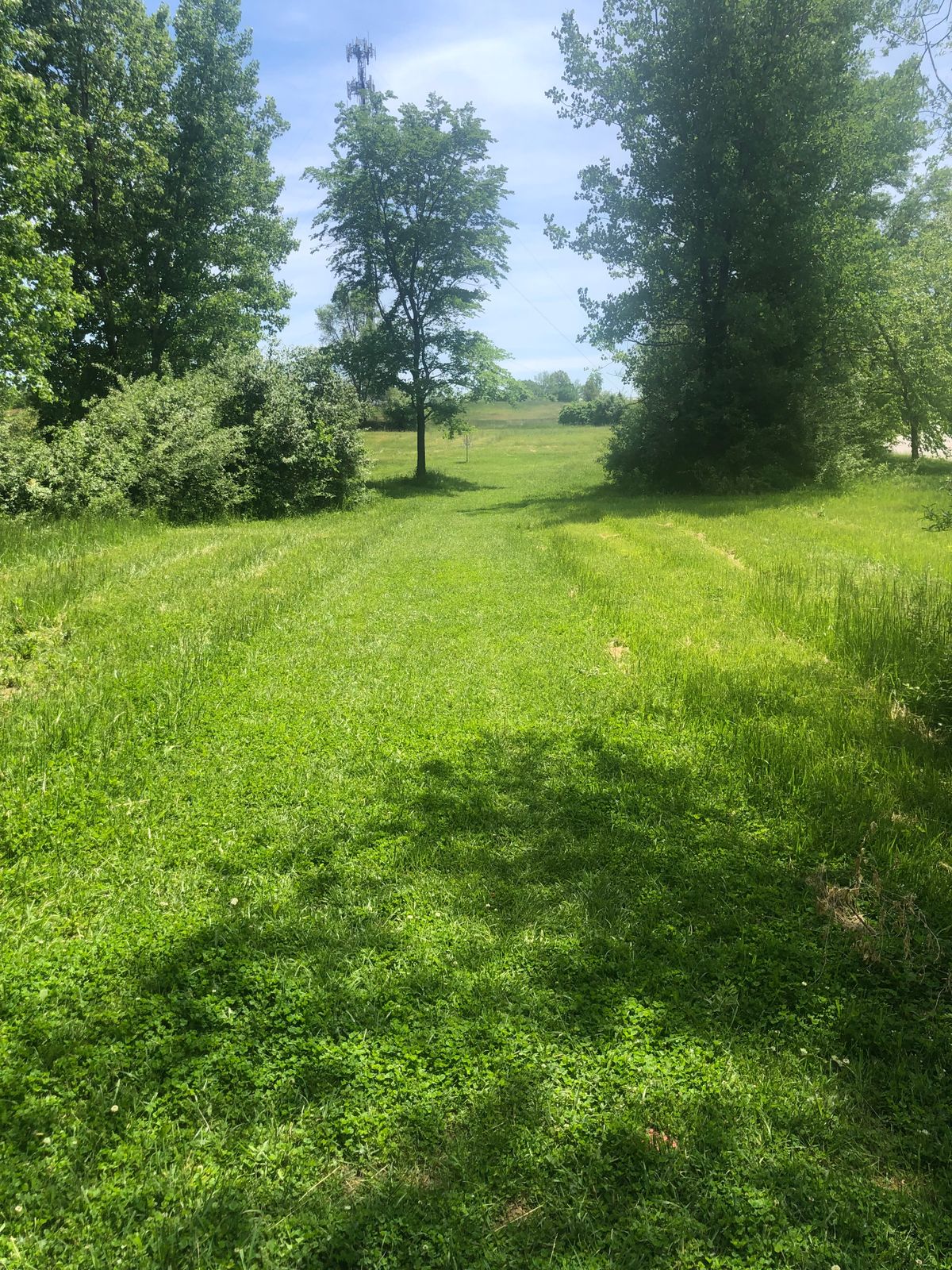 Hole 8 red tee